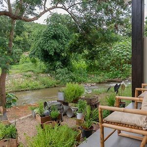 Sirin Farm Chiang Rai